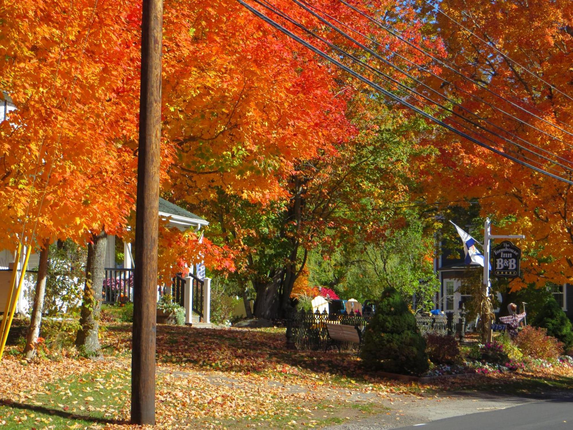 Farmhouse Inn B&B Canning Dış mekan fotoğraf